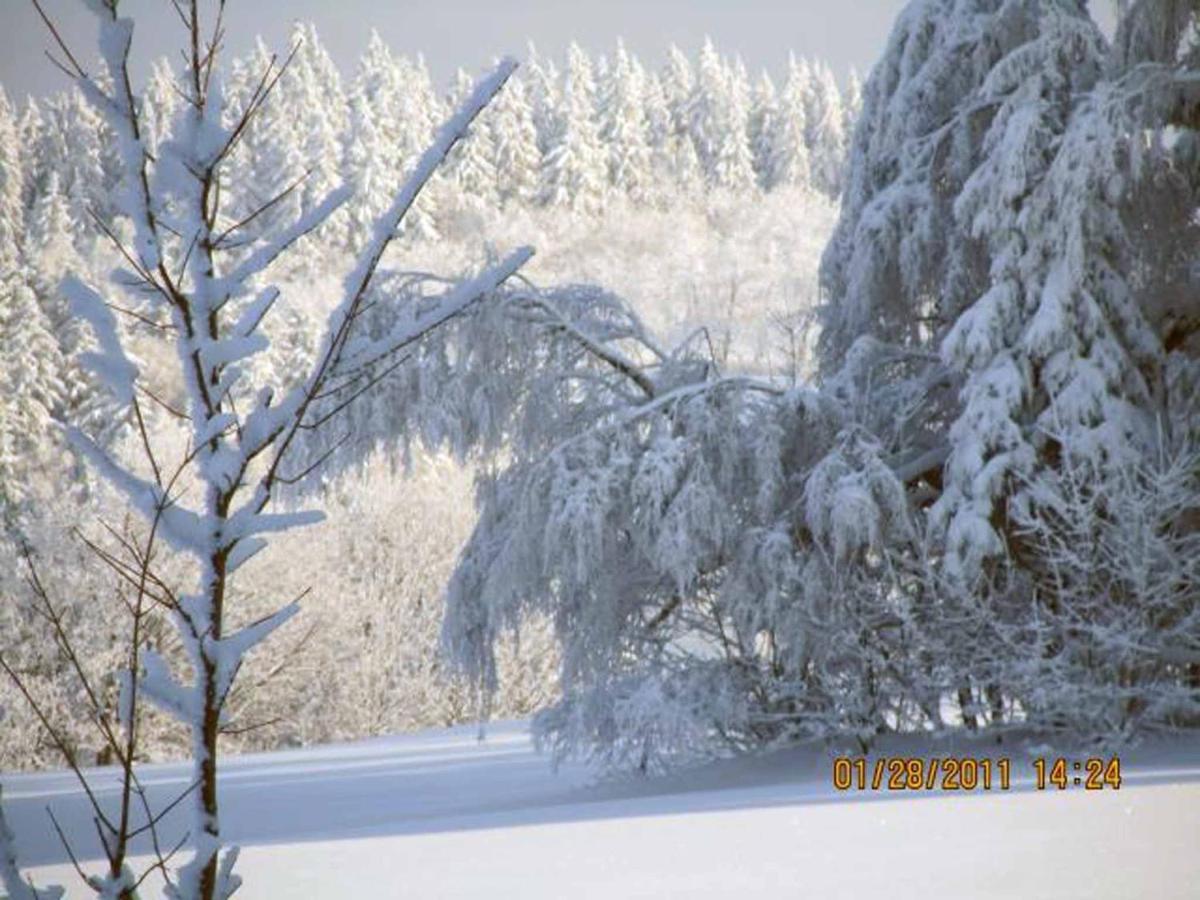 Ferienhaus Ferien Am Waldrand Altenberg Bagian luar foto
